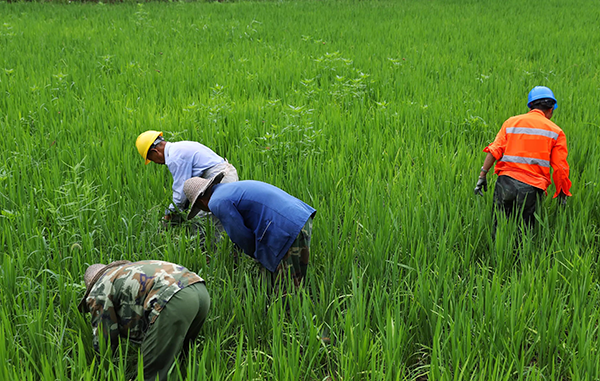 除草劑消泡劑,解決除草劑泡沫問(wèn)題如此簡(jiǎn)單